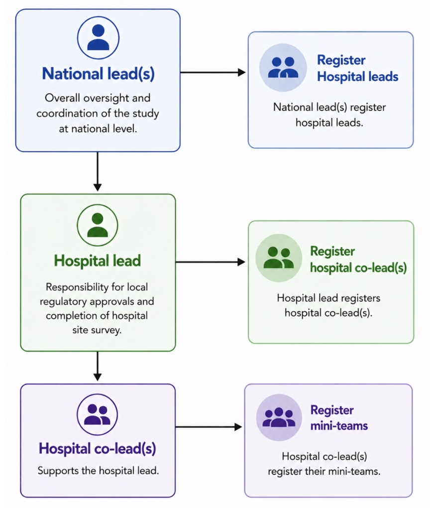 Flowchart showing the hierarchy of roles: National Lead registers Hospital Leads, Hospital Lead registers Hospital Co-Leads, Hospital Co-Leads register mini-teams.